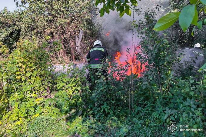 На Вінниччині рятувальники загасили 6 пожеж на відкритій місцевості (ФОТО)