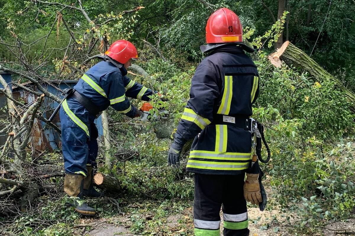 На Вінниччині рятувальники шість разів прибирали повалені буревієм дерева (ФОТО)