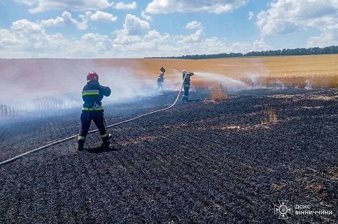 Через людську недбалість у Вінницькій області ледь не згоріло пшеничне поле