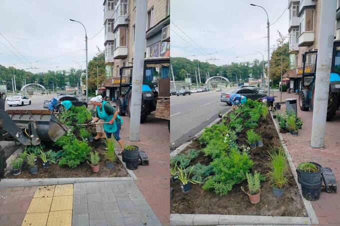 На вулиці Пирогова у Вінниці облаштували антикишені та висадили квіти