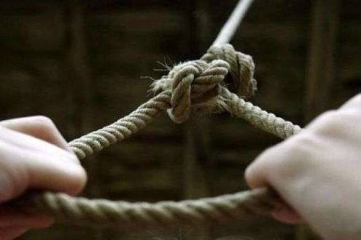 12-річна школярка скоїла самогубство на Вінниччині