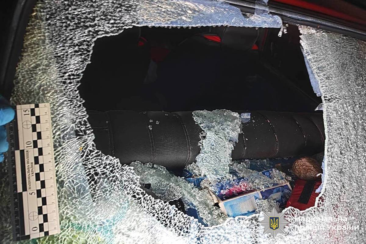 Пограбували переселенців і втекли: на Вінниччині затримали озброєну трійцю (відео)