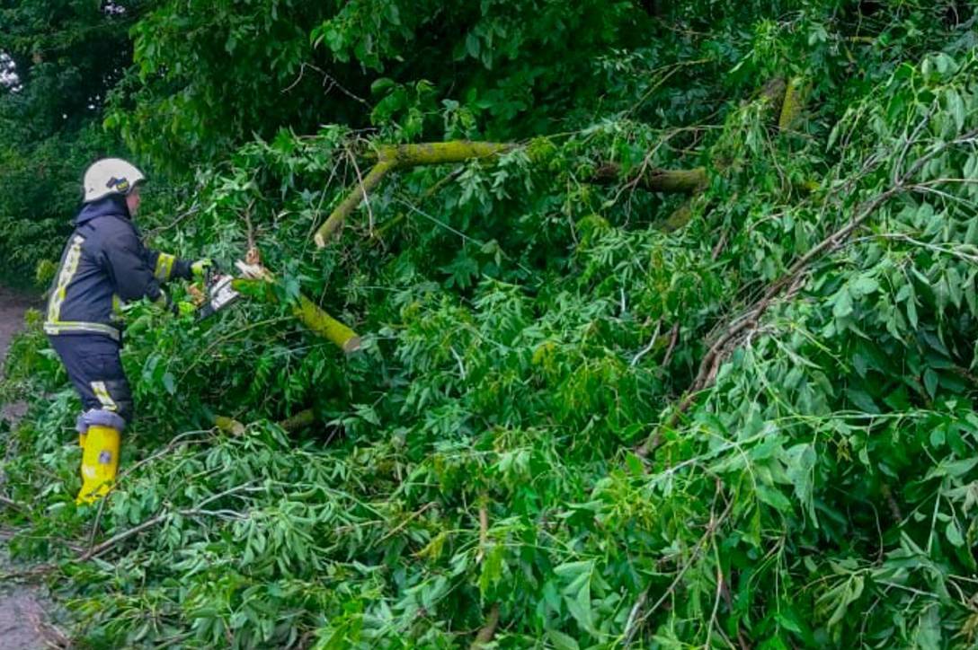 На Вінниччині вирувала негода: рятувальники прибирали дерева і відкачували воду з будинків