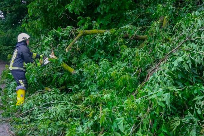 На Вінниччині вирувала негода: рятувальники прибирали дерева і відкачували воду з будинків
