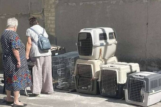 Після скандалу на Вінниччині бабусі-переселенки з тваринами переїхали на Полтавщину