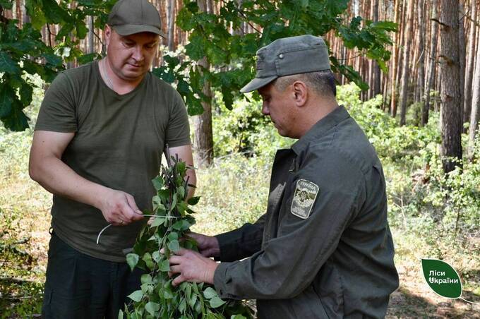 У лісах Вінниччини збільшилася кількість диких тварин: причина
