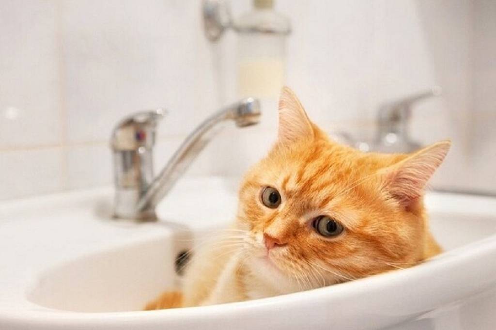 Де у Вінниці 8 серпня не буде світла та води: перелік адрес