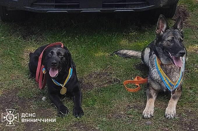 Вінницькі собаки-рятувальники Норіс і Фріда серед найкращих в Україні (фото)