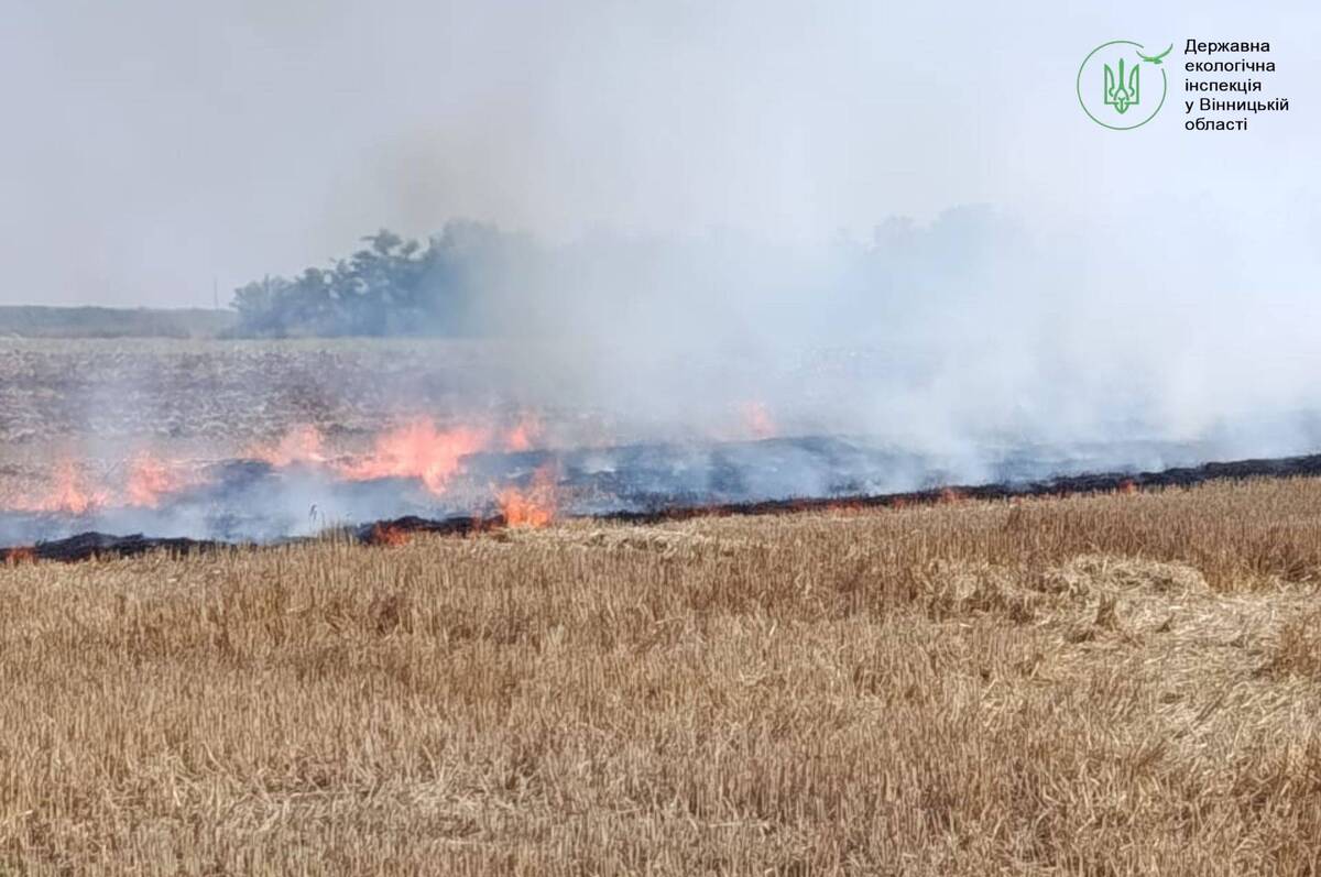 На Вінниччині оштрафували жінку за підпал стерні