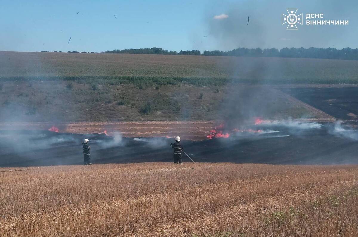 На Вінниччині горіли трава, очерет і сміття