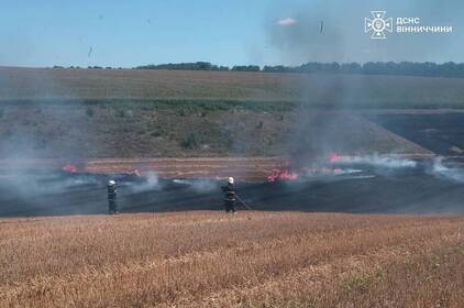 На Вінниччині горіли трава, очерет і сміття