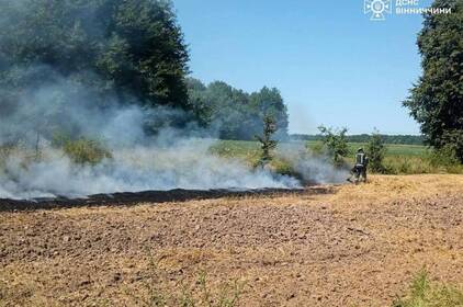 Вінниччина у вогні: за добу надзвичайники ліквідували 19 пожеж