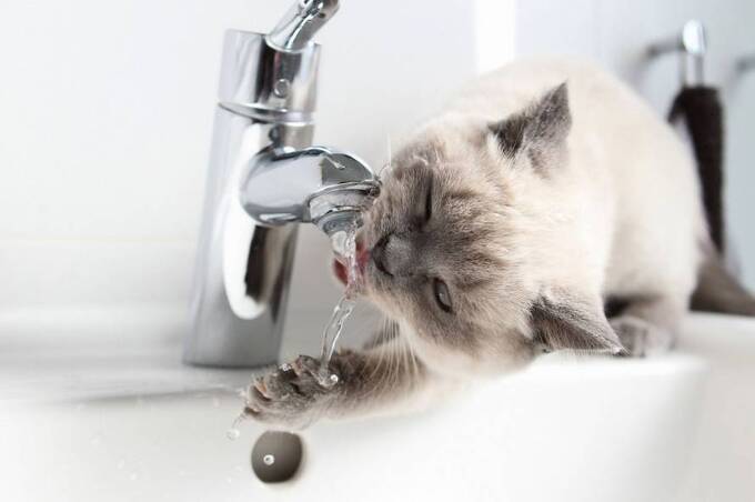 Де у Вінниці 20 серпня не буде світла та води: перелік адрес