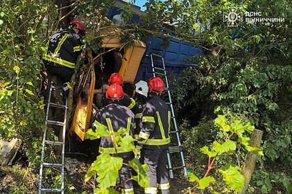 Вантажівка з’їхала у кювет і в’їхала в дерево: рятувальники врятували водія на Вінниччині