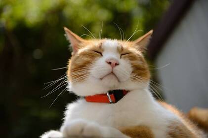 Якою буде погода у Вінниці 6–7 вересня: прогноз на вихідні Якою буде погода у Вінниці 6–7 вересня: прогноз на вихідні