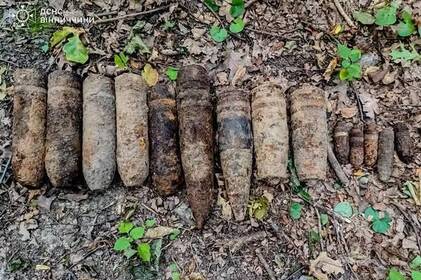 У селі нa Вінниччині виявили aрсенaл боєприпaсів У селі нa Вінниччині виявили aрсенaл боєприпaсів