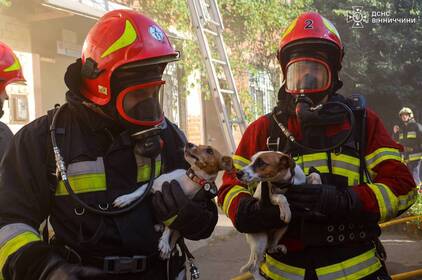 У Вінниці рятувальники ліквідували пожежу та врятували трьох домашніх улюбленців У Вінниці рятувальники ліквідували пожежу та врятували трьох домашніх улюбленців