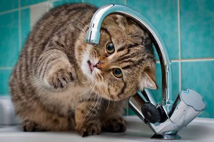 Де сьогодні у Вінниці ремонтуватимуть мережі: перелік адрес  Де сьогодні у Вінниці ремонтуватимуть мережі: перелік адрес