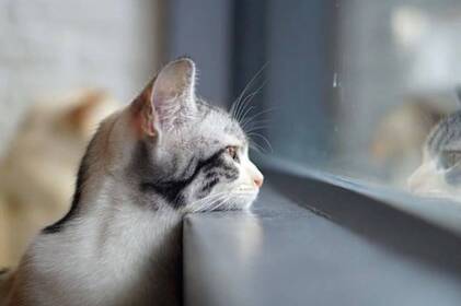 Погода у Вінниці та області 10–11 вересня