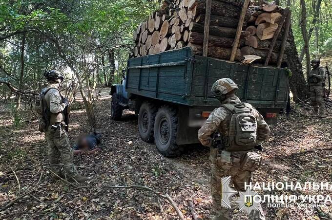 На Вінниччині викрили «чорних лісорубів»: збитки державі понад 6 мільйонів