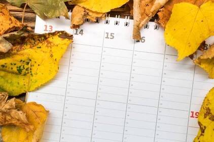 Яку найдовшу відпустку можна взяти в Україні Яку найдовшу відпустку можна взяти в Україні