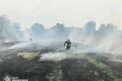 На Вінниччині за добу загасили 9 пожеж на відкритих територіях