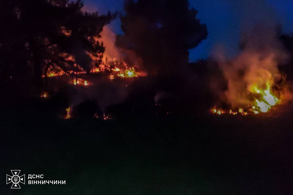 У Вінницькій області 6-річний хлопчик постраждав під час пожежі