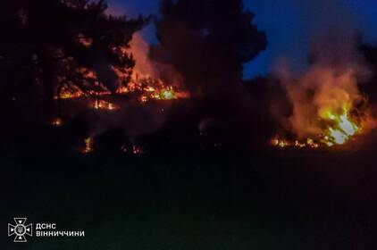 У Вінницькій області 6-річний хлопчик постраждав під час пожежі У Вінницькій області 6-річний хлопчик постраждав під час пожежі