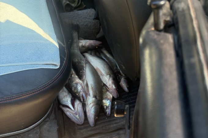 На Південному Бузі викрили браконьєра з уловом на понад 277 тисяч гривень