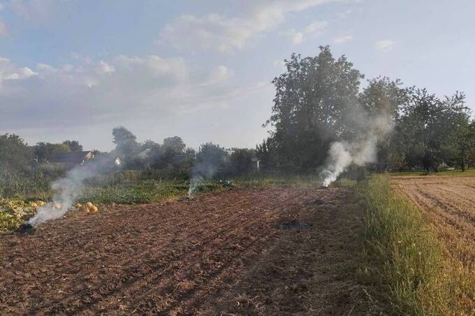На паліїв бадилля у Вінниці та Гавришівці склали адмінпротоколи