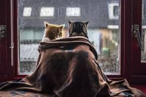 Осінь бере своє: новий тиждень принесе дощі й похолодання