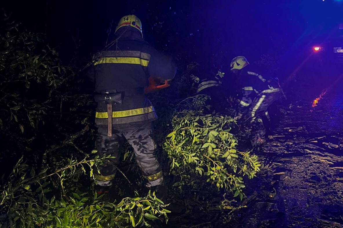 Сильний вітер та дощ повалили дерева на Вінниччині