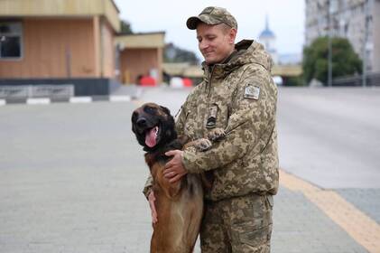 Вірний до кінця: історія пса Кая із Вінниччини, який чекав загиблого господаря, мов Хатіко