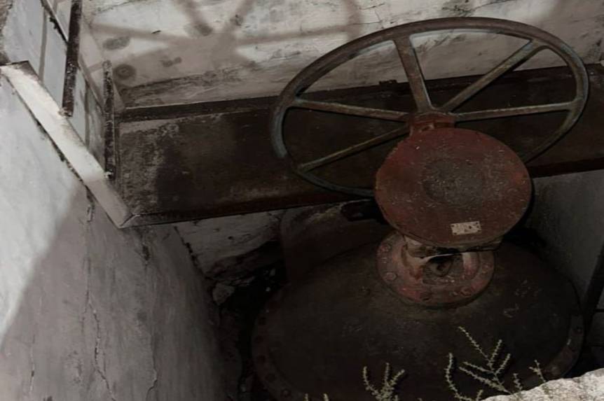 Масовий мор риби у річці Соб: прокуратура розпочала розслідування