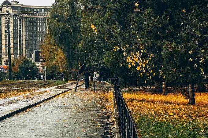 На Вінниччині очікують заморозки й туман: попередження синоптиків
