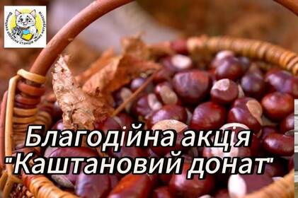«Каштановий донат»: у Вінниці триває благодійна акція на підтримку ЗСУ «Каштановий донат»: у Вінниці триває благодійна акція на підтримку ЗСУ