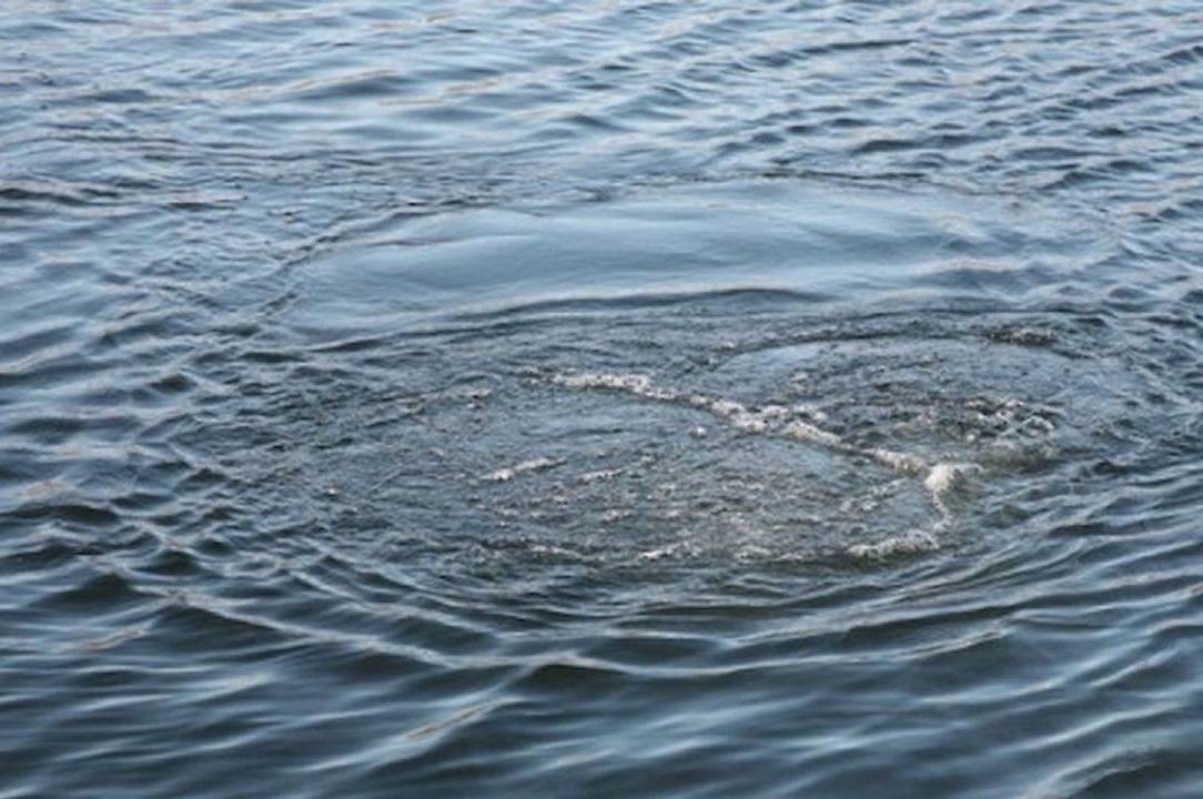 На Вінниччині рятувальники дістали з водойми чоловіка без ознак життя
