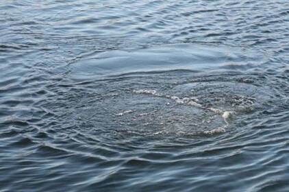 На Вінниччині рятувальники дістали з водойми чоловіка без ознак життя