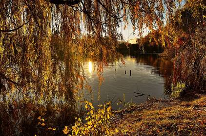 Осінній спокій і легкі дощі: якою буде погода на Вінниччині 27–28 жовтня
