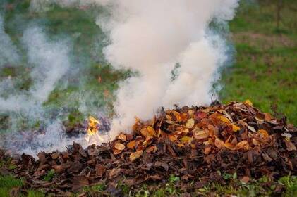 Вінниця каже «ні» спаленому листю: як працюють мобільні групи Муніципальної варти Вінниця каже «ні» спаленому листю: як працюють мобільні групи Муніципальної варти