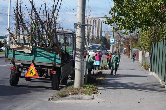 У Вінниці стартувала осіння висадка дерев: з’являться клени, дуби, липи та сотні кущів У Вінниці стартувала осіння висадка дерев: з’являться клени, дуби, липи та сотні кущів