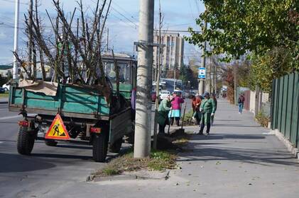 У Вінниці стартувала осіння висадка дерев: з’являться клени, дуби, липи та сотні кущів У Вінниці стартувала осіння висадка дерев: з’являться клени, дуби, липи та сотні кущів