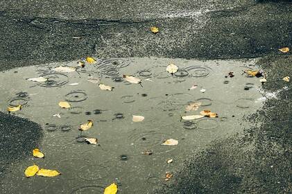 На Вінниччині очікуються дощі й сильний вітер: оголошено жовтий рівень небезпечності На Вінниччині очікуються дощі й сильний вітер: оголошено жовтий рівень небезпечності