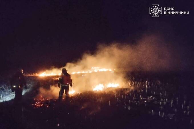 Горіло поле: на Вінниччині рятувальники ліквідували займання кукурудзяних залишків Горіло поле: на Вінниччині рятувальники ліквідували займання кукурудзяних залишків