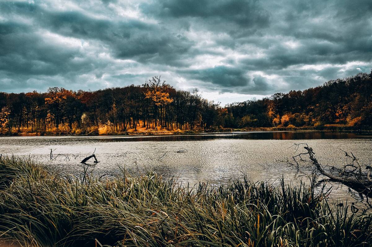 На Вінниччині — кілька теплих днів: початок тижня буде сонячним і без дощів
