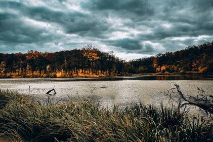 На Вінниччині — кілька теплих днів: початок тижня буде сонячним і без дощів