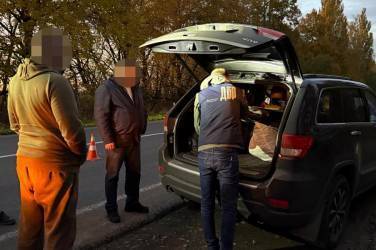 На Вінниччині посадовці та бізнесмени отримували мільйонні хабарі за незаконну вирубку лісів