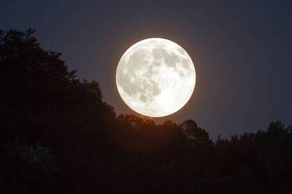 Найбільший супермісяць 2025 року зійде вже цього тижня: коли і як його побачити