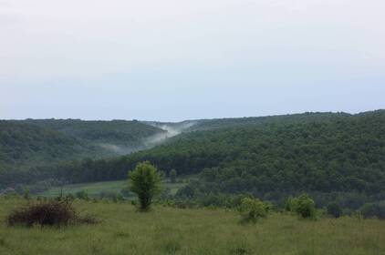 Прокуратура відстояла право держави на 53 га території Нацпарку «Кармелюкове Поділля»