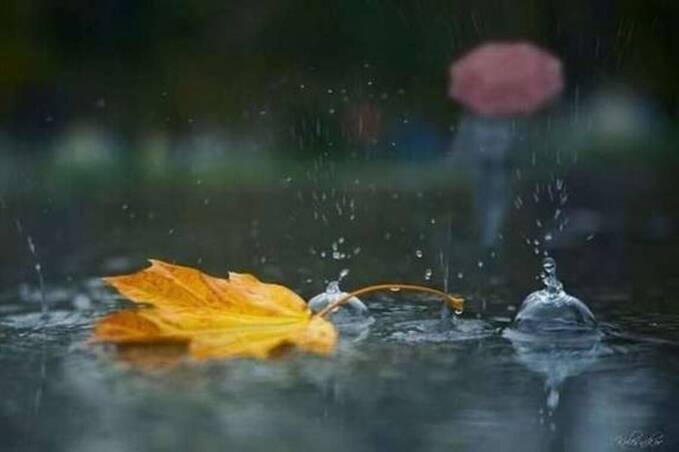Осінні дощі та поривчастий вітер: якою буде погода у Вінниці 4–5 листопада